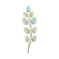 Thin branch with pale leaves. Vector illustration on a white background.