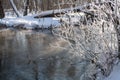Thin branches covered with hoarfrost against the background of the water surface of the river and fallen tree trunks, Moscow Royalty Free Stock Photo