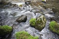 Brook with stones Royalty Free Stock Photo