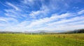 Thin clouds over green pastures