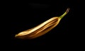 A thin, dry, unassuming, painful-looking yellow banana fruit, one fruit isolated against a black background in close-up