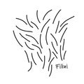 Thin Fellini Vermicelli Doodle Style Hand Drawn Italian Pasta Royalty Free Stock Photo