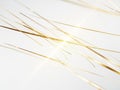 Thin Golden Strands Intersecting and Overlapping Against a Clean White Background with Subtle Light Reflections and a Bright Glint Royalty Free Stock Photo