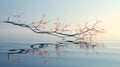 a thin graceful branch is reflected in the clear water of a pond on a foggy morning