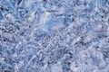 Thin ice in the morning on a rocky beach. Sunrise. Night frosts. Close view. Natural abstract texture. Changeable Royalty Free Stock Photo