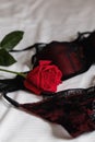 Thin lace black underwear panties and bra and red rose are lying on bed Royalty Free Stock Photo