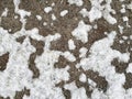 Thin layer of first snow partially covered gray ground with sand and small stones. Abstract winter camouflage texture. Royalty Free Stock Photo