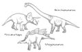 Thin line engraving style illustrations, various kinds of prehistoric dinosaurs, it includes brachiosaurus, stegosaurus Royalty Free Stock Photo