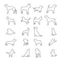 Thin Line Icon Set Dogs Royalty Free Stock Photo