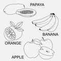 Vector illustration of thin line icons for fruit,apple,papaya,banana,orange,Linear symbols set Royalty Free Stock Photo