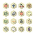 Thin Line Icons For Fruits