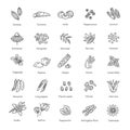 Condiment and herbs icons set. Outline set of condiment vector icons