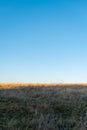 Thin line of sun left on golden dry grass on autumn hill with clear blue sky lots of copy space for text