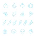 Thin lines icon set - vegetable Royalty Free Stock Photo