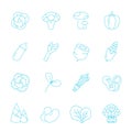 Thin lines icon set - vegetable Royalty Free Stock Photo