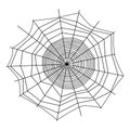 Thin lines spider web in trendy minimalism style