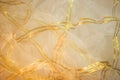 Thin mesh fabric with a gold pattern Royalty Free Stock Photo