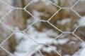 A thin metal fence is covered with frost and ice crystals, against a blurred background in nature Royalty Free Stock Photo