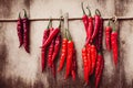 Thin pod red pepper hanging on rope for spicy spices Royalty Free Stock Photo