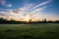 The thin rays of the setting sun against a narrow strip of forest