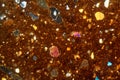 Thin section of a brick under the microscope Royalty Free Stock Photo
