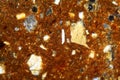 Thin section of a brick under the microscope Royalty Free Stock Photo