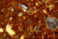 Thin section of a brick under the microscope Royalty Free Stock Photo