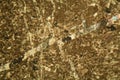 Thin section of limestone under the microscope Royalty Free Stock Photo