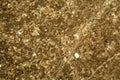 Thin section of limestone under the microscope Royalty Free Stock Photo