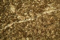 Thin section of limestone under the microscope Royalty Free Stock Photo