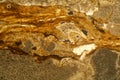 Thin section of Triassic carbonate under the microscope Royalty Free Stock Photo