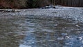 A thin sheet of ice forms on top of a river