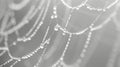 Thin silken lines crisscross in a web of perfection. Black and white art. Royalty Free Stock Photo
