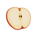 Thin slice of red apple. Isolated vector sliced fruit in flat style. Summer clipart for design Royalty Free Stock Photo