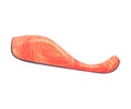 Thin slice of red fish fillet. Vector illustration on white background.