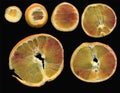 Thin slices of orange