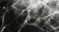 Thin strands intertwine creating a fragile but strong web. Black and white art. Royalty Free Stock Photo