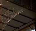 Thin white cobweb, stretched under the roof of the old wooden bath. Royalty Free Stock Photo