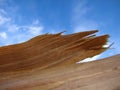 Thin wood snap against the sky