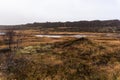 Thingvellir national park tectonic drift in goden circle in Iceland in autumn