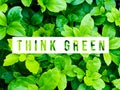 Think Green concept. Royalty Free Stock Photo