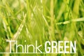 Think green motivational quote poster Royalty Free Stock Photo