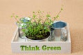 Think Green