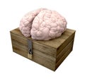 Think Outside The Box Brain