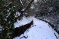 Think snow covered on hiking trail in winter Royalty Free Stock Photo