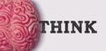 Think word next to a human brain model