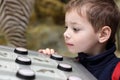 The thinking boy studying birdsong Royalty Free Stock Photo