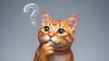Thinking Cat Question Mark Curious Feline, Problem Solving, Doubt Royalty Free Stock Photo