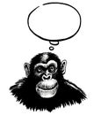 Thinking chimp Royalty Free Stock Photo