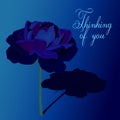 Thinking of you - card. Dark blue rose on a blue background. Eps10 vector stock illustration